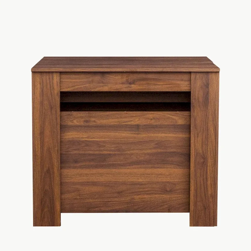 Multifunctional extendable console table